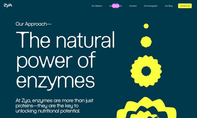 zya.co